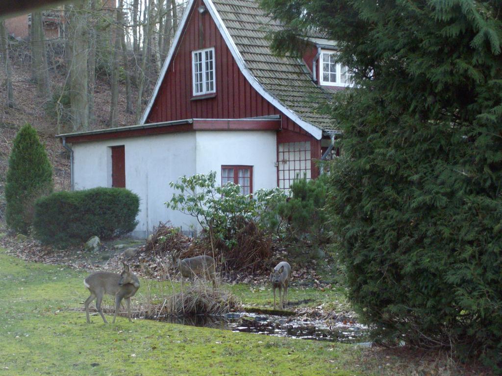 Skovvej Holiday House 1 Villa Randers Exterior foto